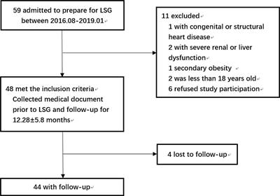 Weight Loss After Laparoscopic Sleeve Gastrectomy Ameliorates the Cardiac Remodeling in Obese Chinese